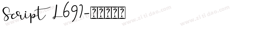 Script L691字体转换